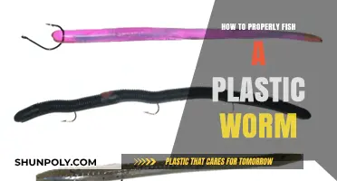 Mastering the Art of Fishing With Plastic Worms