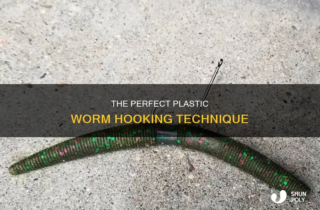 how to properly hook a plastic worm