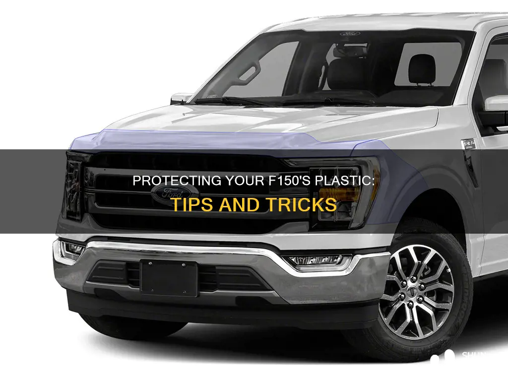 how to protect outside plastic on f150