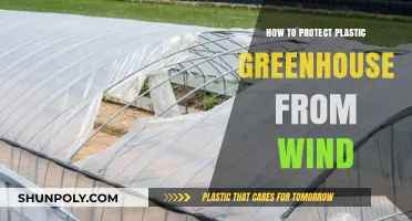 Protecting Plastic Greenhouses: Wind-Resistant Strategies