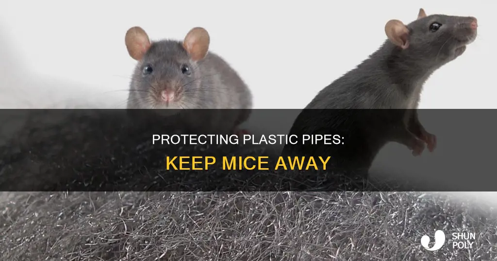 how to protect plastic pipes from mice