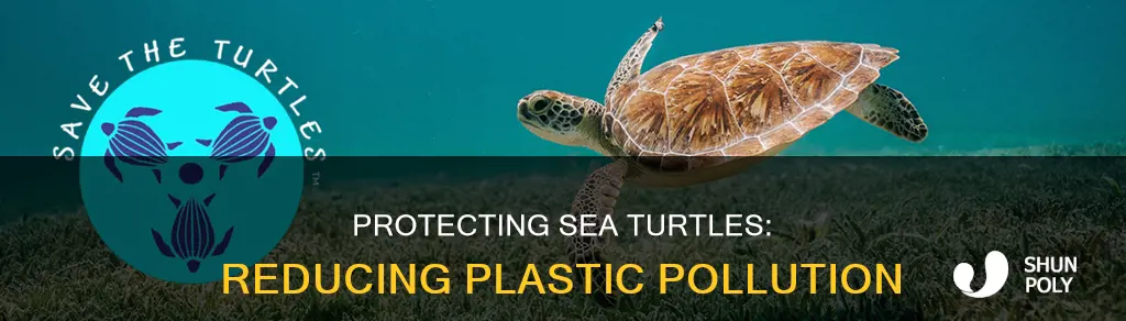 how to protect sea turtles from plastic