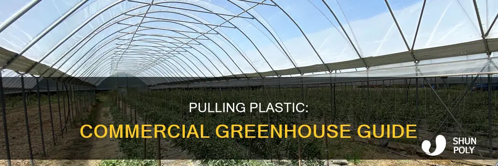 how to pull plastic on commercial greenhouse