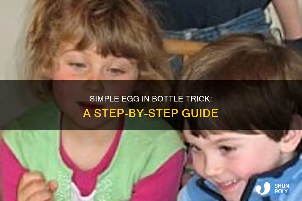 how to put an egg in a plastic bottle