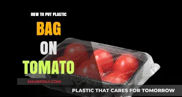 Easy Steps to Cover Tomatoes with Plastic Bags for Growth