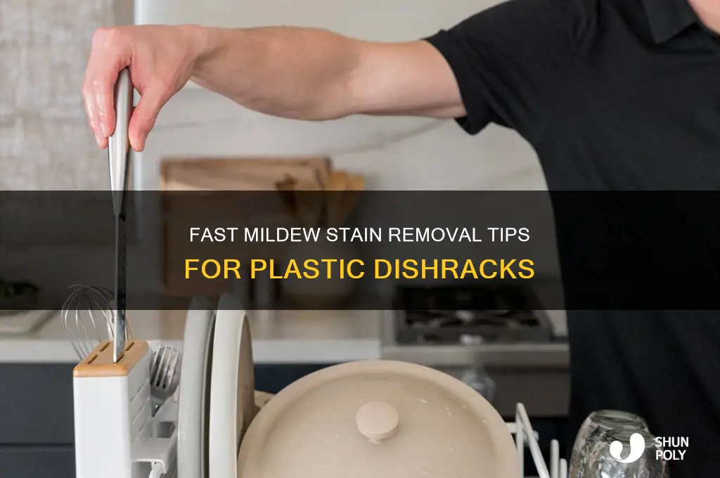 how to quickly clean mildew stain from plastic dishrack