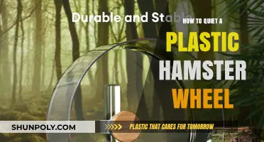 Silence Your Hamster's Wheel with These Easy Tricks