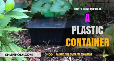 Worm Farming: Raising Worms in Plastic Containers