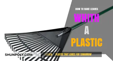 The Best Way to Rake Leaves with a Plastic