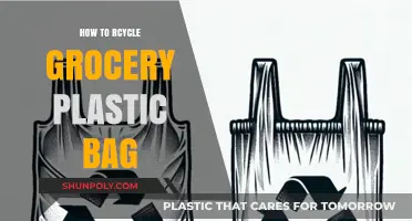 Eco-Friendly Tips: Recycling Grocery Plastic Bags the Right Way