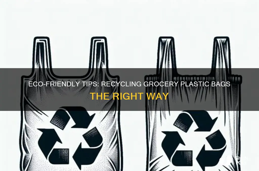 how to rcycle grocery plastic bag
