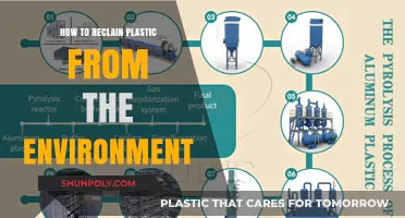 Reclaiming Plastic: Eco-Friendly Strategies for a Greener Tomorrow