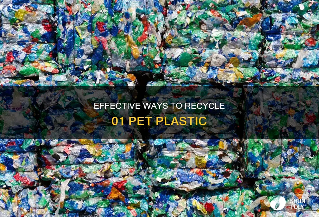 how to recycle 01 pet plastic