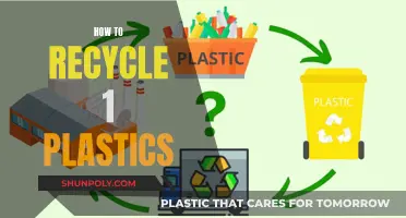 Mastering the Art of Recycling: A Guide to Transforming Plastic Waste