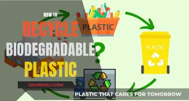 Biodegradable Plastic Recycling: A Comprehensive Guide to Sustainable Practices