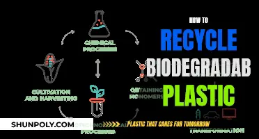 Recycling Biodegradable Plastics: A Guide to Eco-Friendly Practices