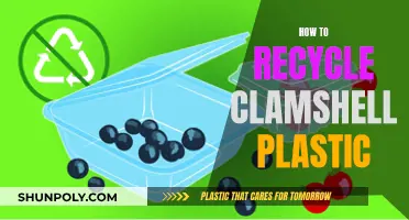 Effective Ways to Recycle Clamshell Plastic at Home