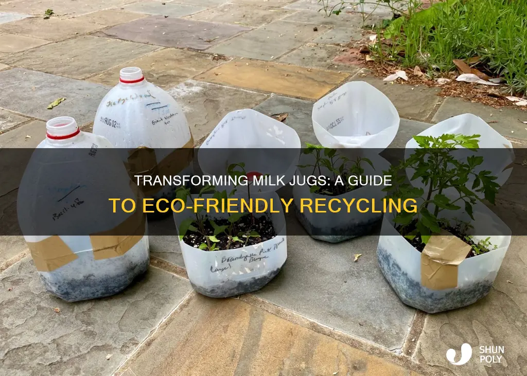 how to recycle milk jug plastic