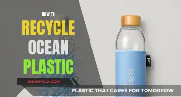 Transforming Ocean Plastic: A Guide to Sustainable Recycling Solutions