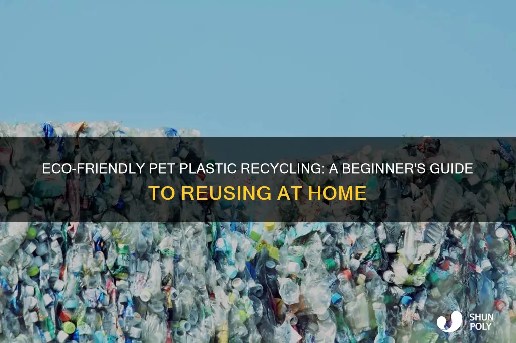 how to recycle pet plastic at home