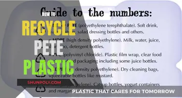 Unleash the Power of PET: A Guide to Recycling Plastic Bottles