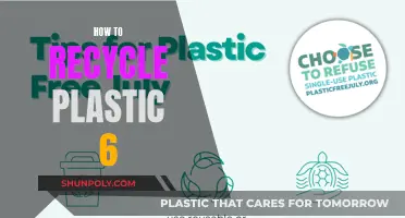 Mastering Plastic 6 Recycling: A Comprehensive Guide to Environmental Impact