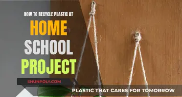 Plastic Recycling: A Fun, Eco-Friendly Home School Project