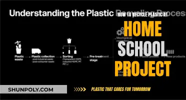 Recycling Plastic: A Home School Project Guide