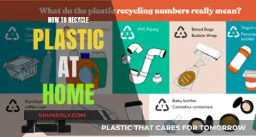 Plastic Recycling: A Home Guide to Environmental Impact