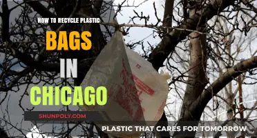 Eco-Friendly Guide: Recycling Plastic Bags in Chicago Made Simple