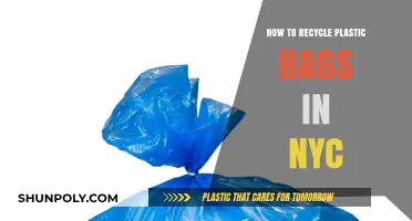 Eco-Friendly NYC: Simple Steps to Recycle Plastic Bags Effectively