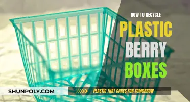 Reusing Plastic Berry Boxes: A Guide to Eco-Friendly Recycling