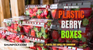 Creative Ways to Recycle Plastic Berry Boxes