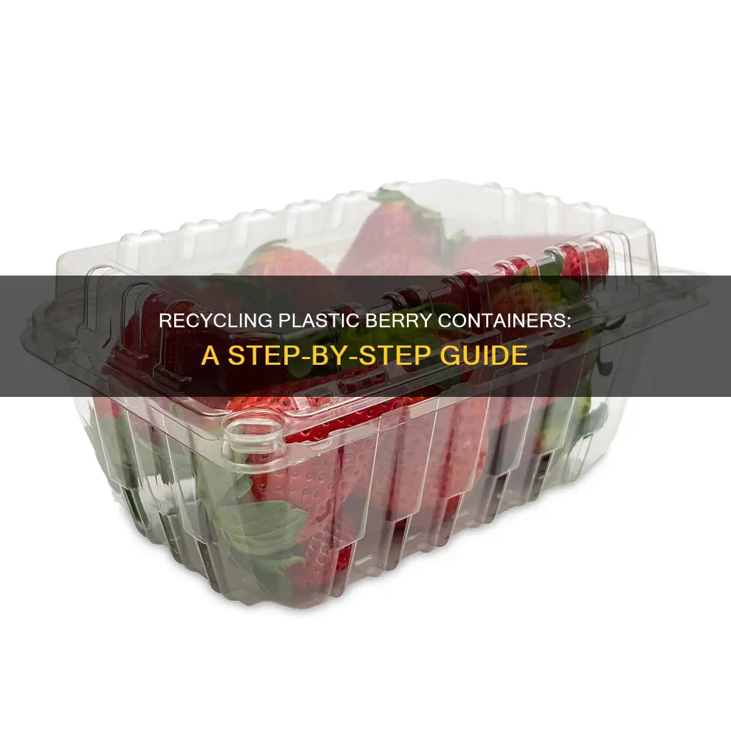 how to recycle plastic berry containers