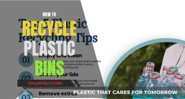 Transforming Plastic Bins: A Guide to Eco-Friendly Recycling