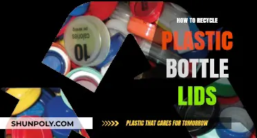 Creative Ways to Recycle Plastic Bottle Lids for a Greener Home