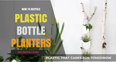 Creative Ways to Recycle Plastic Bottles into Planters for Your Garden