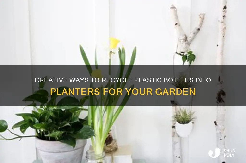 how to recycle plastic bottle planters