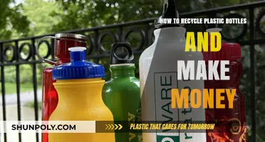 Turn Plastic Bottles into Cash: Easy Recycling Money-Making Tips