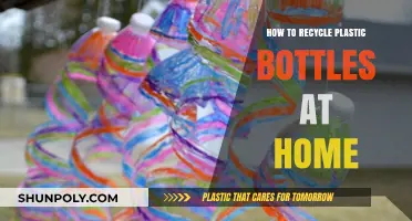 Easy Home Recycling: Transforming Plastic Bottles into Eco-Friendly Creations