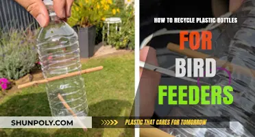 Creative Ways to Recycle Plastic Bottles into Bird Feeders