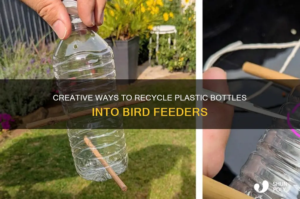how to recycle plastic bottles for bird feeders