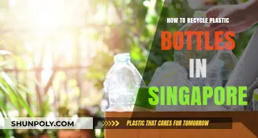 Eco-Friendly Guide: Recycling Plastic Bottles in Singapore Made Simple