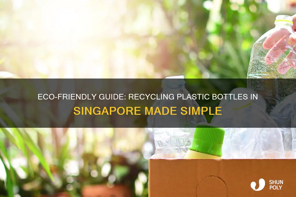 how to recycle plastic bottles in singapore
