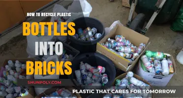 Eco-Friendly Building: Transforming Plastic Bottles into Durable Bricks