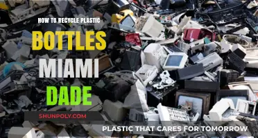 Miami-Dade's Guide to Recycling Plastic Bottles Responsibly and Easily