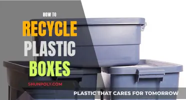 Sustainable Solutions: Transforming Plastic Boxes into Eco-Friendly Treasures