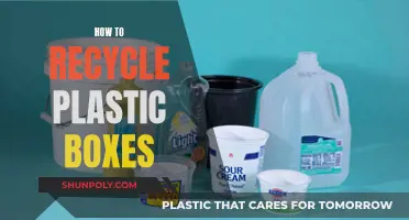 Effective Ways to Recycle Plastic Boxes