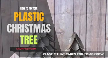 Eco-Friendly Tips: Transform Your Plastic Tree into New Treasures