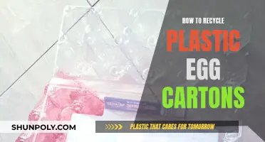 Transform Egg Cartons: A Guide to Plastic Recycling